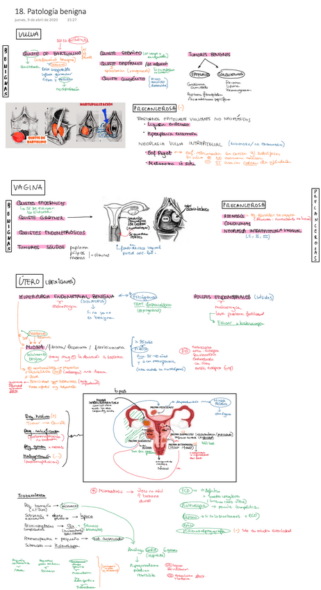 Miniatura del documento 18.pdf
