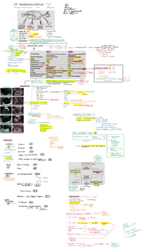 Miniatura del documento 24.pdf