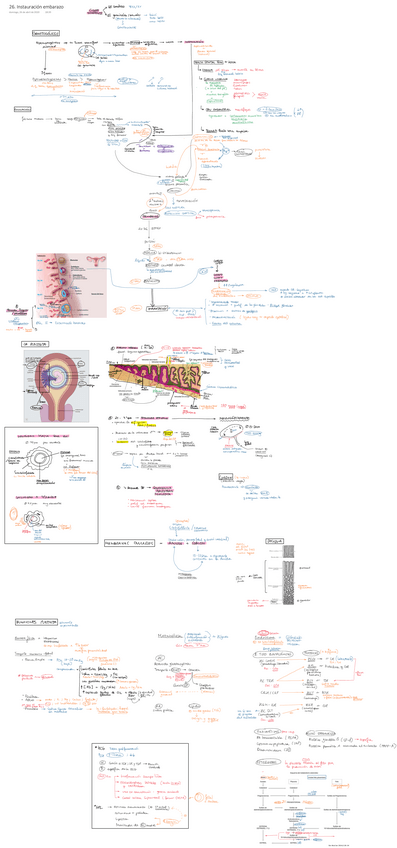 Miniatura del documento 26.pdf