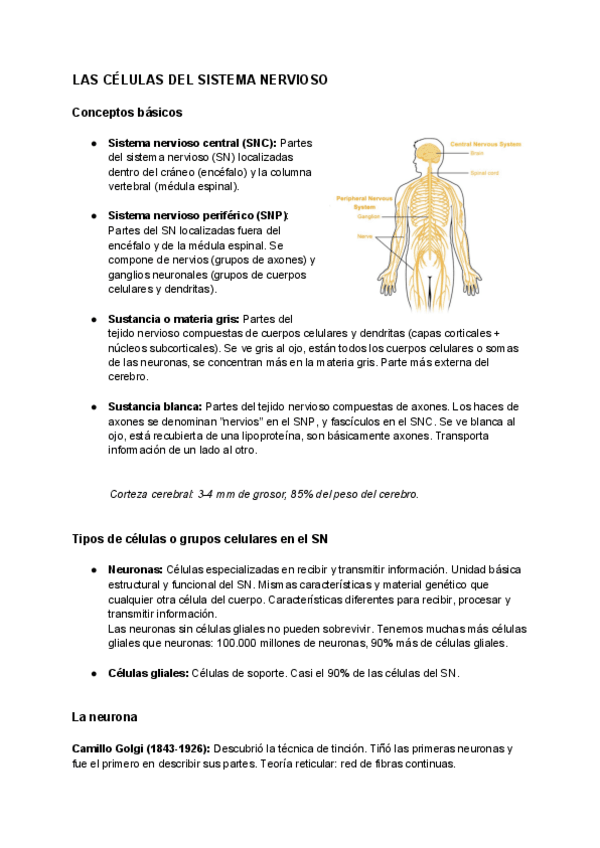 Miniatura del documento Sistema-nervioso-1.pdf