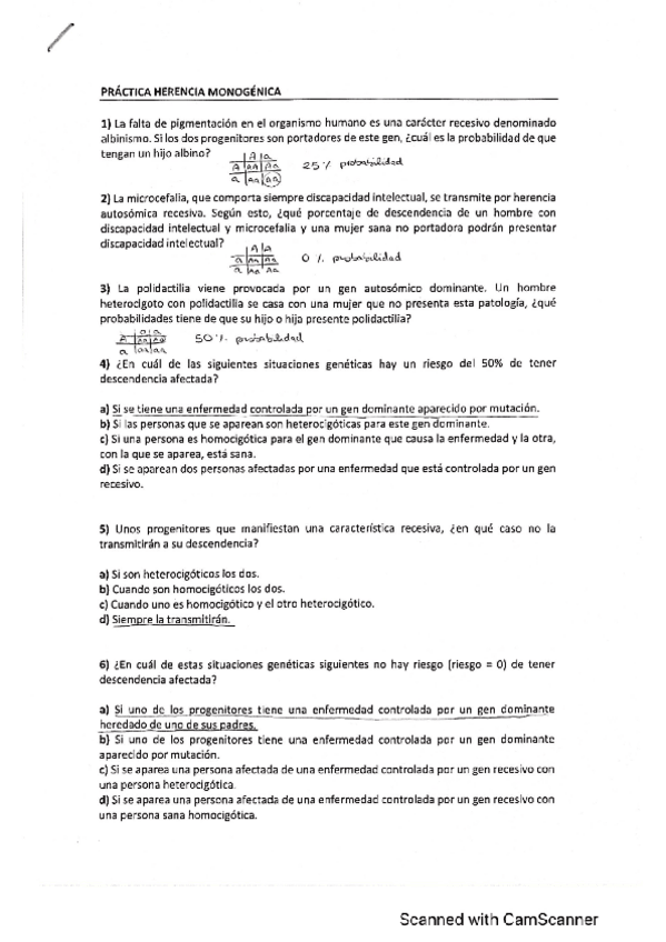 Miniatura del documento Practica-herencia.pdf