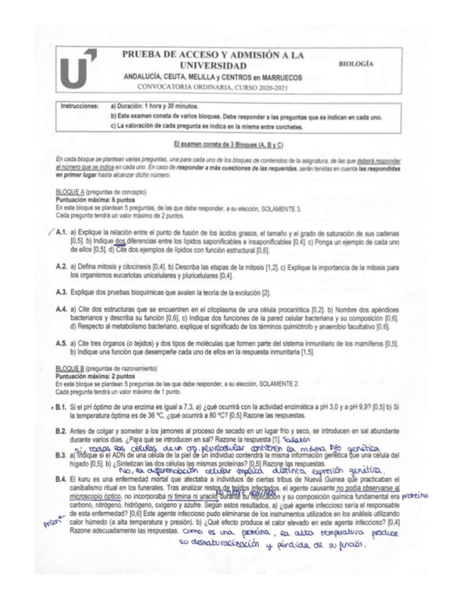 Miniatura del documento Biologia-Ordinaria-2021.pdf