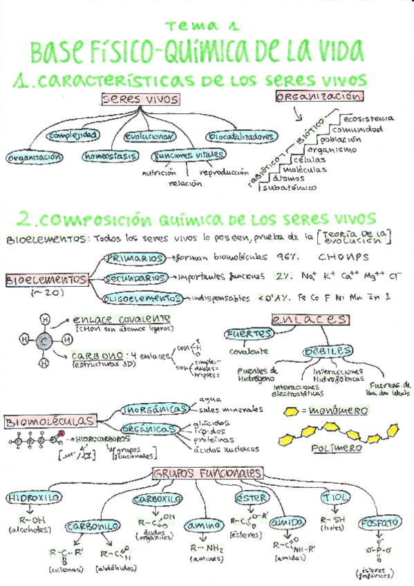 Miniatura del documento BLOQUE-1.pdf