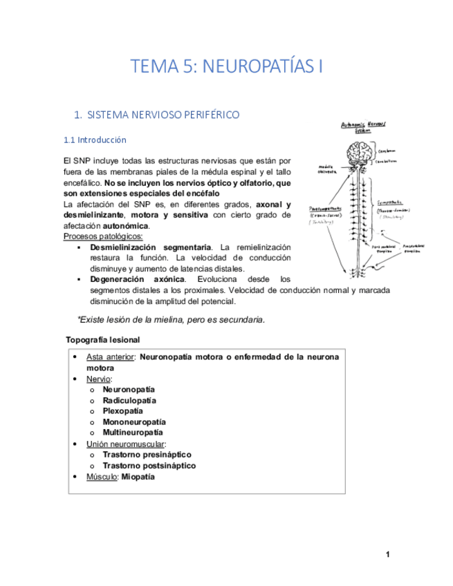 Miniatura del documento T5-Neuropatias-I.pdf