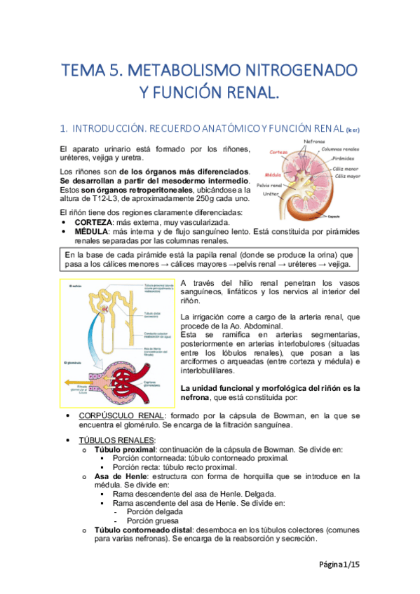 Miniatura del documento TEMA-5-BQ.pdf