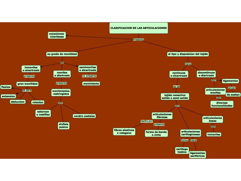 Miniatura del documento clasificacion-de-las-articulaciones.pdf