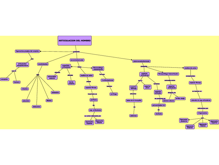 Miniatura del documento Articulacion-del-hombro.pdf