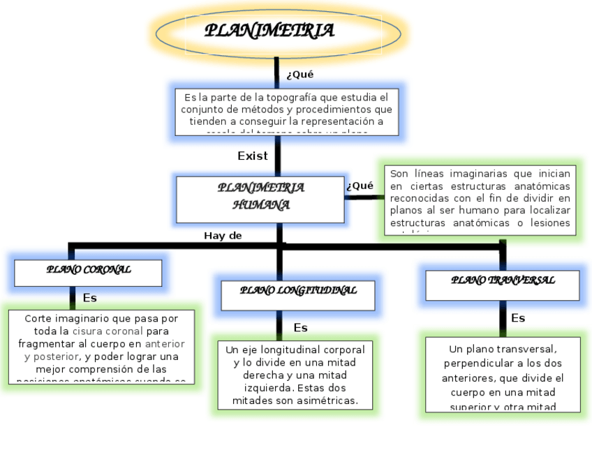 Miniatura del documento anatomia-cuadro-conceptual.docx