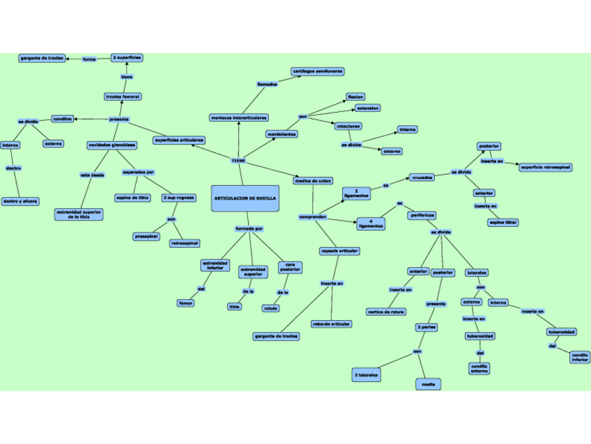 Miniatura del documento Articulacion-de-rodilla.pdf