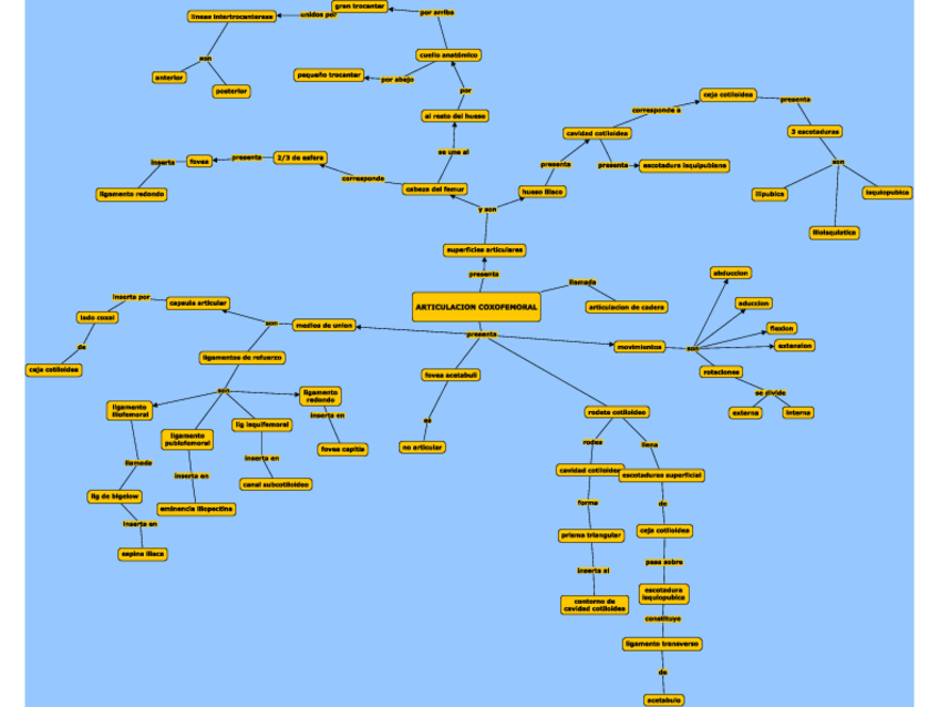 Miniatura del documento Articulacion-coxofemoral.pdf