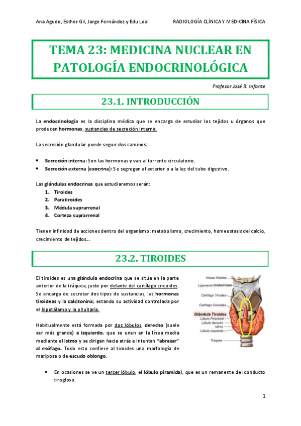 Miniatura del documento RADIO-TEMA-23.pdf