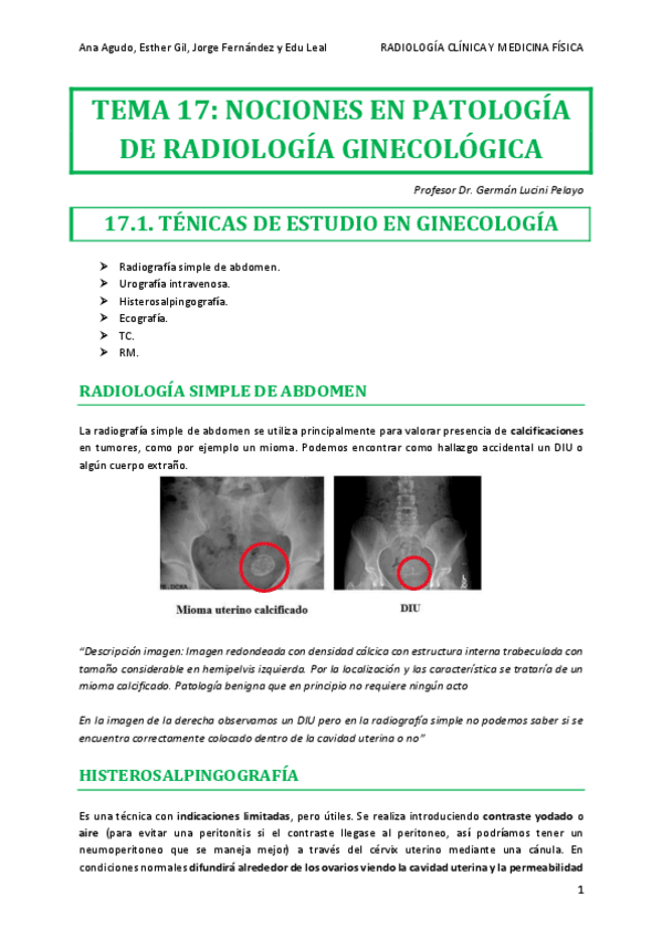 Miniatura del documento RADIO-TEMA-17.pdf