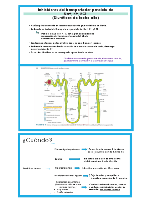 Miniatura del documento Duireticos-de-Asa.pdf