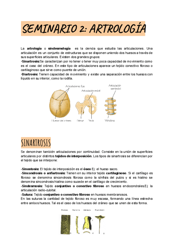 Miniatura del documento SEMINARIO-2-ARTROLOGIA.pdf