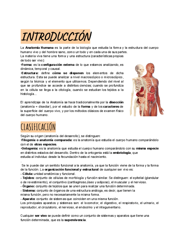 Miniatura del documento INTRODUCCION-A-LA-ANATOMIA.pdf