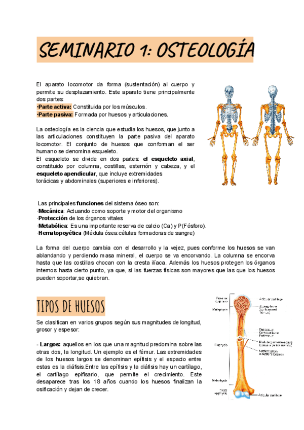 Miniatura del documento SEMINARIO-1-OSTEOLOGIA.pdf