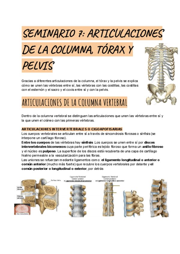 Miniatura del documento SEMINARIO-7.pdf