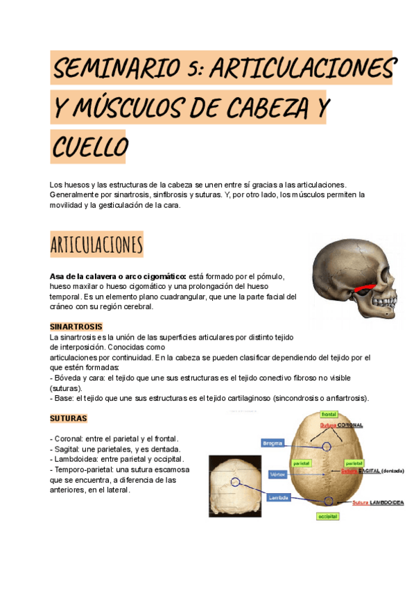 Miniatura del documento SEMINARIO-5.pdf