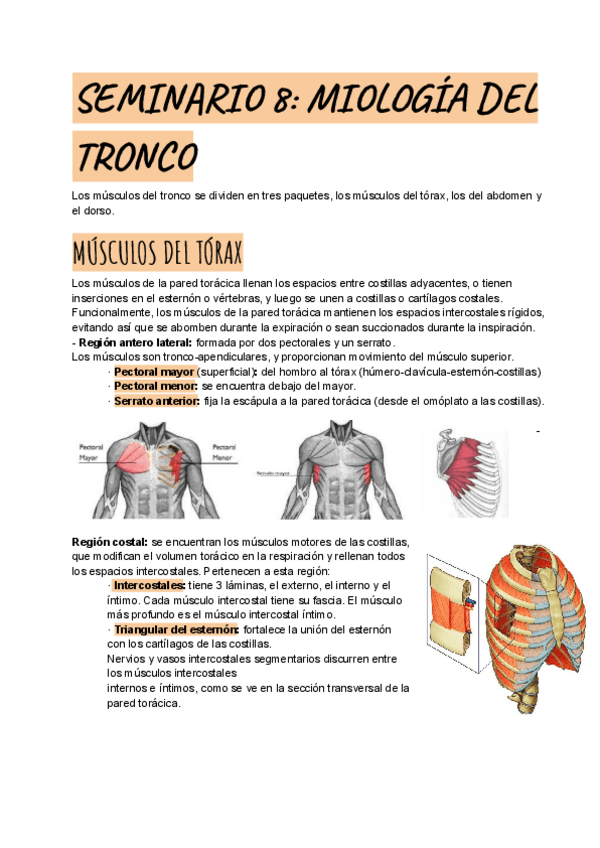 Miniatura del documento SEMINARIO-8.pdf