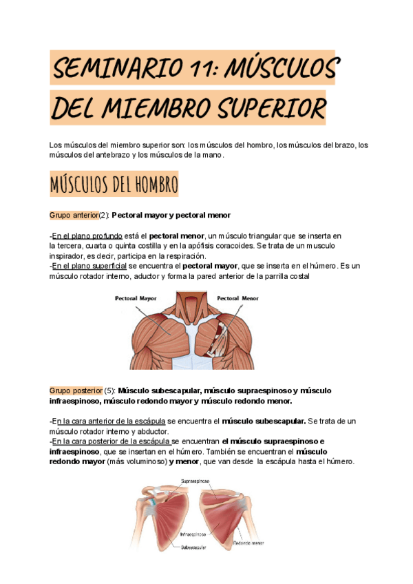 Miniatura del documento SEMINARIO-11.pdf