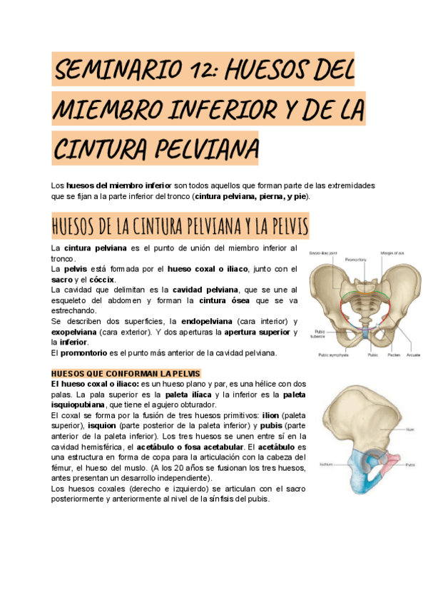 Miniatura del documento SEMINARIO-12.pdf
