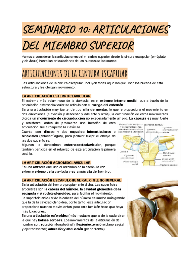 Miniatura del documento SEMINARIO-10.pdf