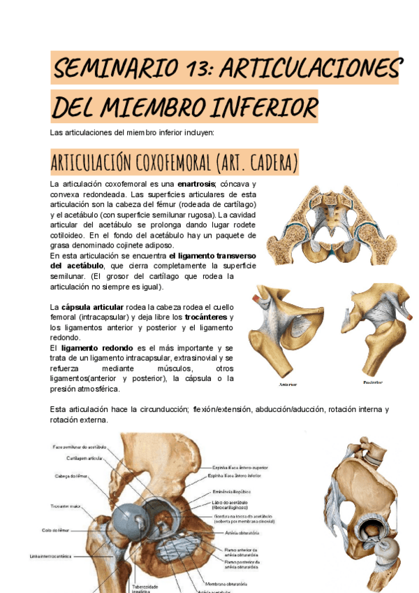 Miniatura del documento SEMINARIO-13.pdf