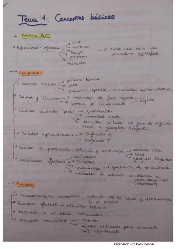 Miniatura del documento apuntes-muy-completos.pdf