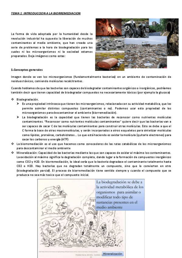 Miniatura del documento TODO-BIORREMEDIACION.pdf