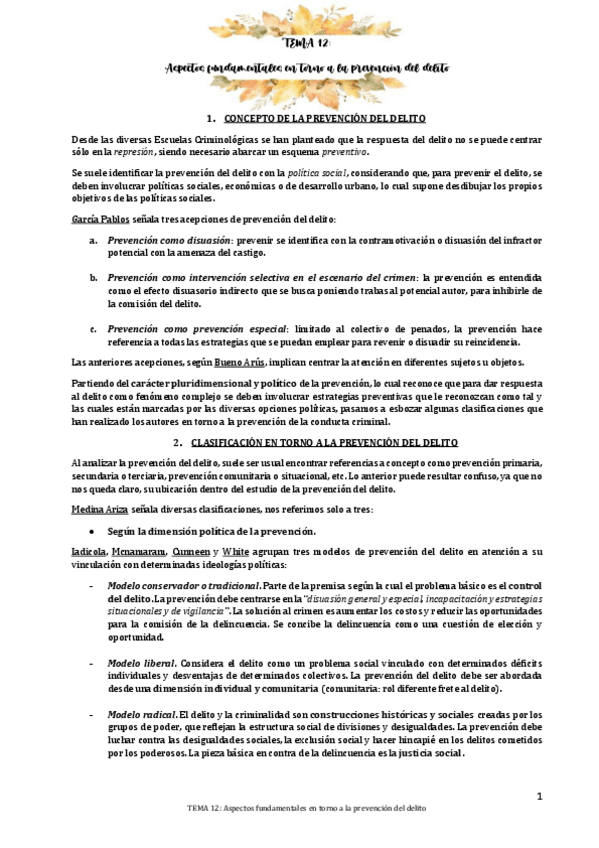 Miniatura del documento TEMA-12-Aspectos-fundamentales-en-torno-a-la-prevencion-del-delito.pdf