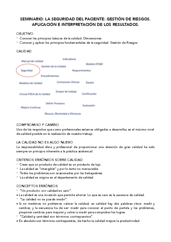 Miniatura del documento Seminario-Seguridad-paciente.pdf