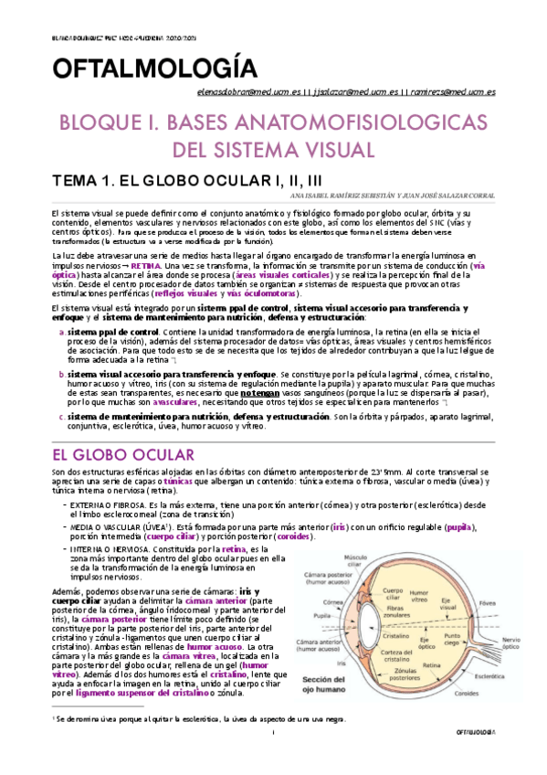 Miniatura del documento OFTALMOLOGIA.pdf