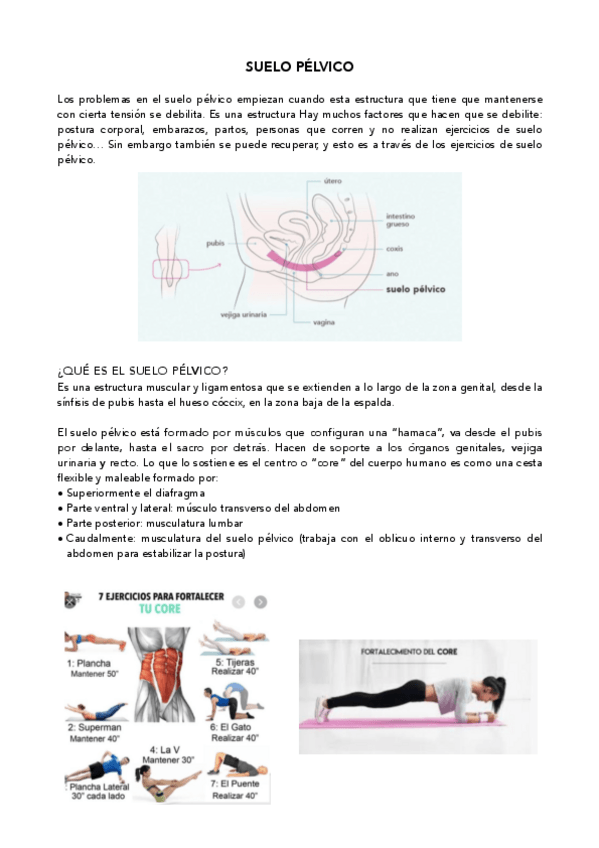 Miniatura del documento Suelo-pelvico.pdf
