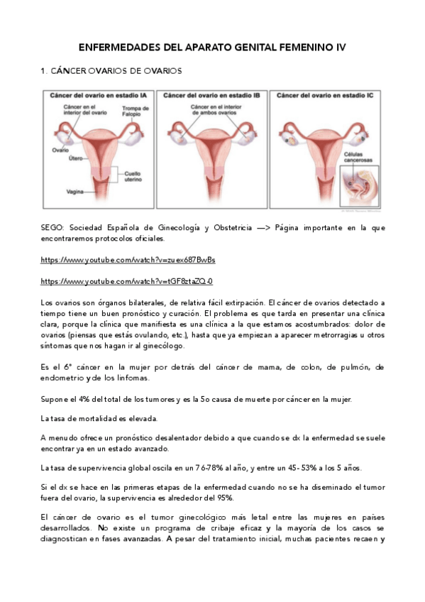Miniatura del documento Ap-genital-femenino-IV.pdf