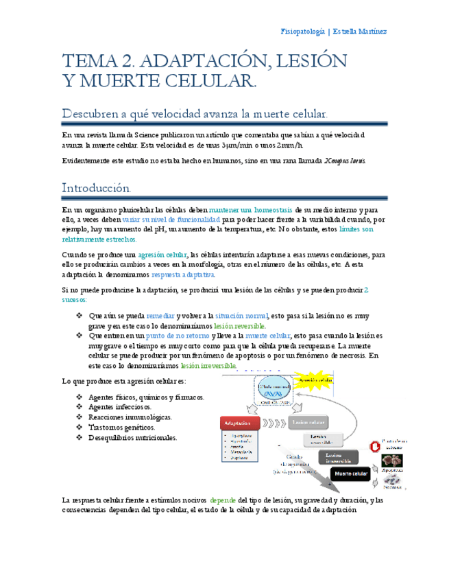Miniatura del documento Tema-2-Fisiopatologia.pdf