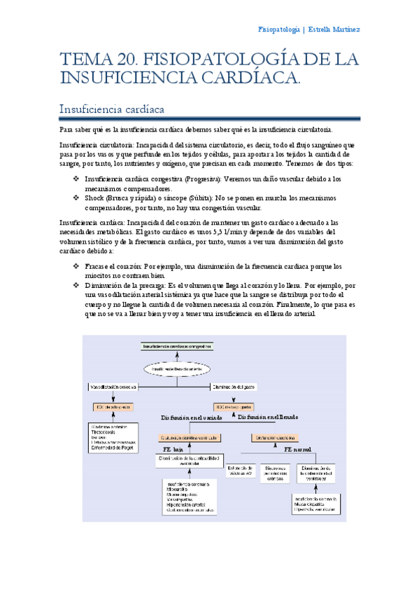 Miniatura del documento Tema-20-Fisiopatologia.pdf