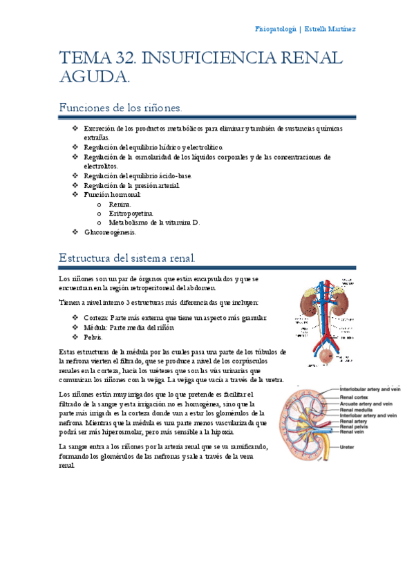 Miniatura del documento Tema-32-Fisiopatologia.pdf