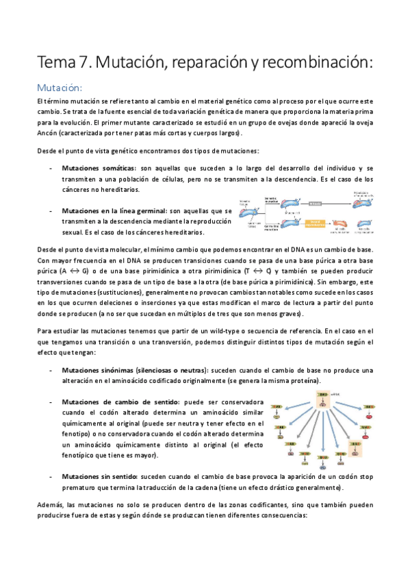 Miniatura del documento Tema-7.pdf