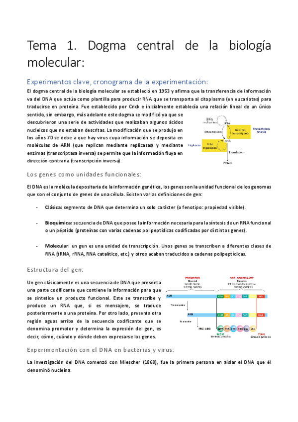 Miniatura del documento Tema-1.pdf