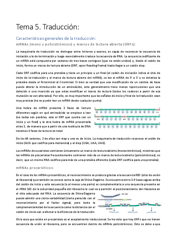 Miniatura del documento Tema-5.pdf