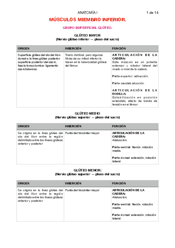 Miniatura del documento tablas-musculos-miembro-inferior.pdf