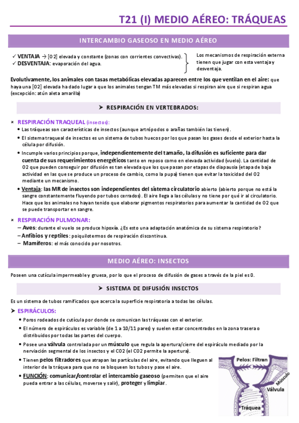 Miniatura del documento TEMA-21.pdf
