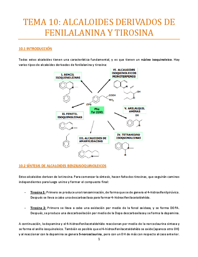 Miniatura del documento TEMA-10-bueno.pdf