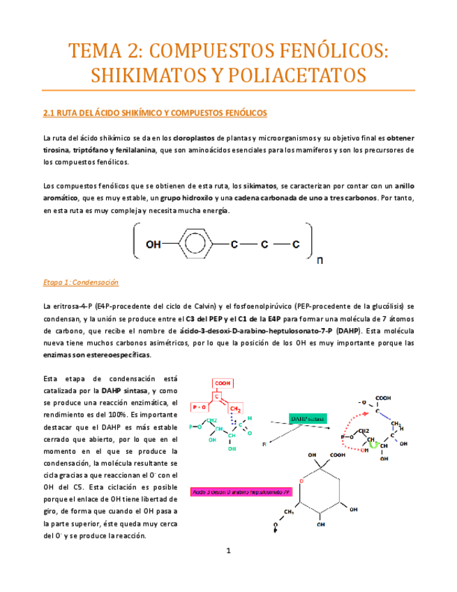 Miniatura del documento TEMA-2-bueno.pdf