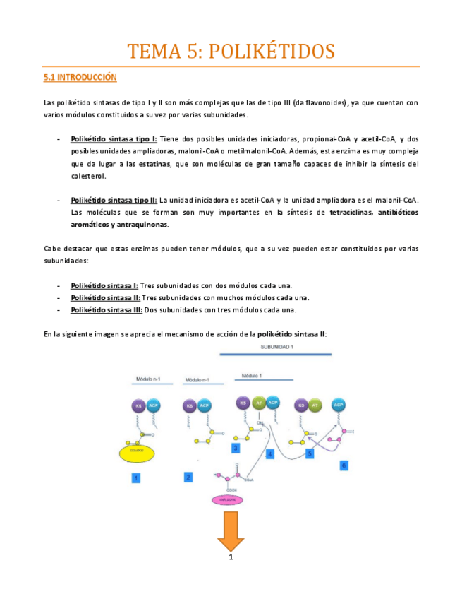 Miniatura del documento Tema-5-bueno.pdf