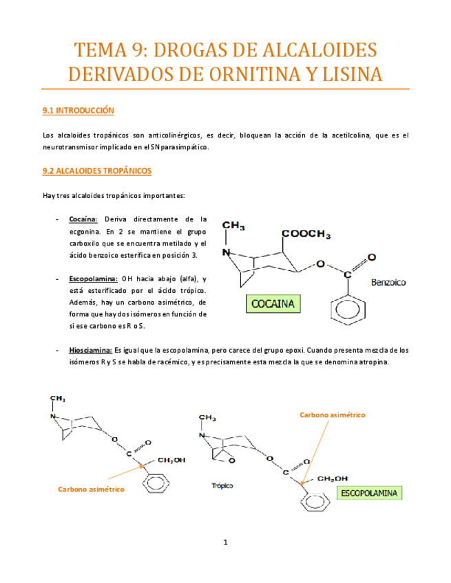 Miniatura del documento TEMA-9-bueno.pdf
