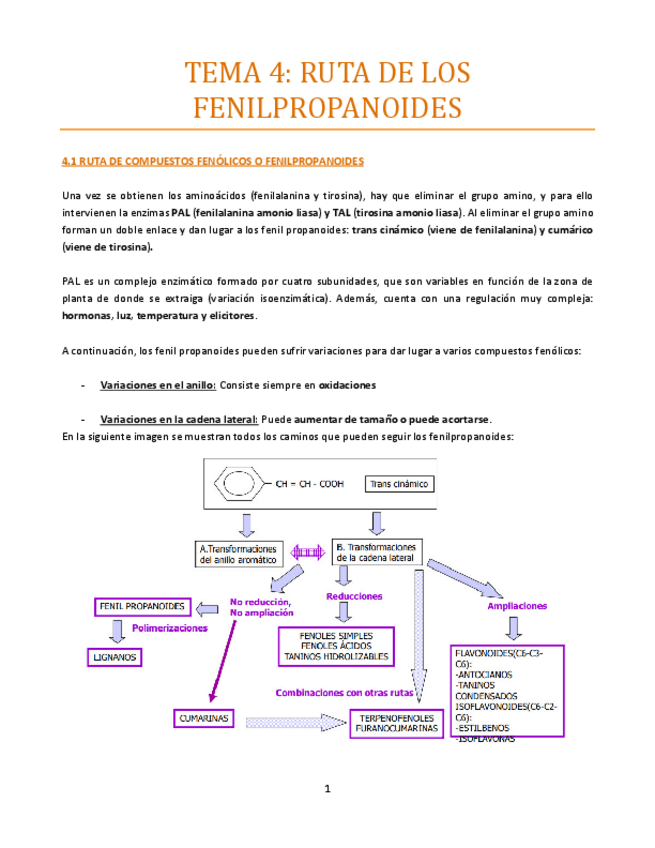 Miniatura del documento Tema-4-bueno.pdf