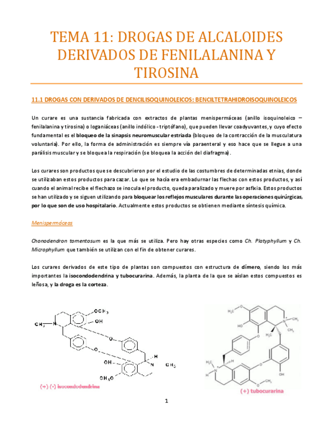 Miniatura del documento TEMA-11-bueno.pdf