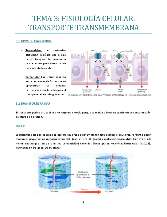 Miniatura del documento TEMA-3-bueno.pdf