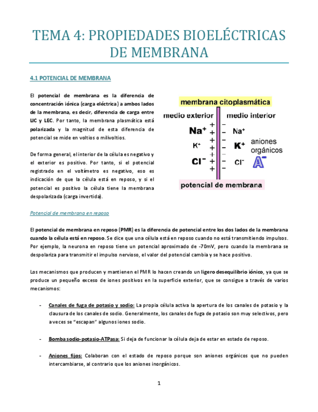 Miniatura del documento TEMA-4-bueno.pdf